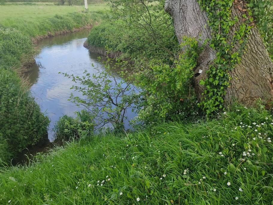 Le Vulcain Apartment Le Hommet-d'Arthenay Екстериор снимка